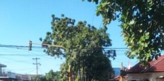 Tabrak Lari Ibu dan Bayi , Pengendara Kabur di Lampu Merah Simpang Pagutan