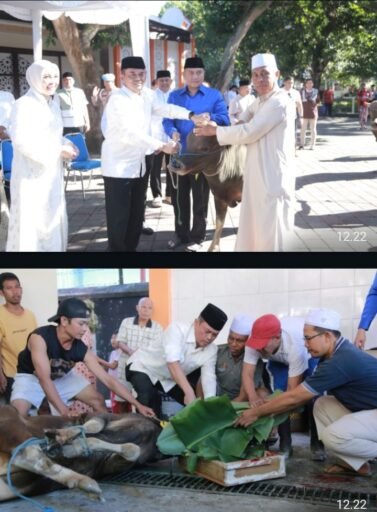 Polda NTB Sembelih Ratusan Hewan Kurban, Daging Dibagikan Kepada Masyarakat Penerima Manfaat