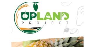 Menagih Transparansi Upland Subang, Ke Mana Menguapnya Puluhan Miliar Dana Hibah?