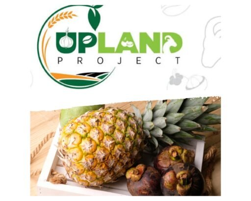 Menagih Transparansi Upland Subang, Ke Mana Menguapnya Puluhan Miliar Dana Hibah?