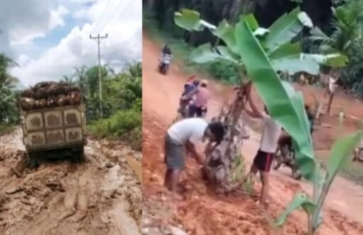 Warga Lakukan Aksi Tanam Pohon Pisang di Tengah Badan Jalan Sebagai Bentuk Protes