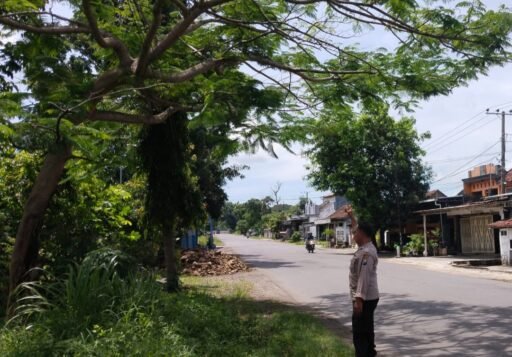 Polsek Ngimbang Gelar Patroli Dan Pengecekan Antisipasi Pohon Tumbang di Daerah Rawan Bencana