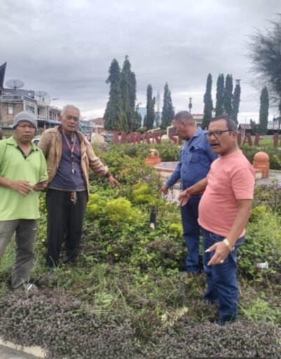 ARIFIN NAIBAHO LAPORKAN KE POLRES SAMOSIR OTK POTONG POHON DI TAMAN SITOLU HAE HORBO