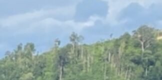 LP-K.P.K. TEGUR TEGAS SATGAS PKH: JANGAN TEBANG PILIH, KORPORASI DAN OKNUM PEJABAT JUGA HARUS DITINDAK