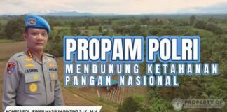 Bid Propam Polda Kalbar dan Polres Bengkayang Panen Raya Jagung,Dukung Swasembada Pangan Nasional 2026