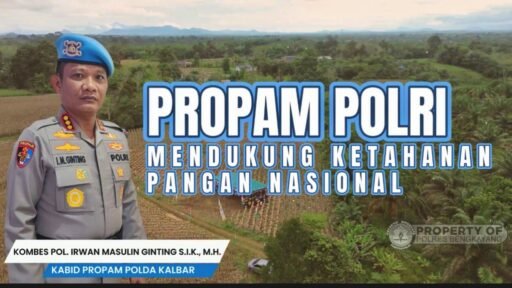 Bid Propam Polda Kalbar dan Polres Bengkayang Panen Raya Jagung,Dukung Swasembada Pangan Nasional 2026