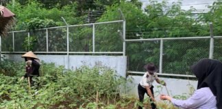 Pegawai dan Peserta Magang Rutan Kelas I Palembang Panen Terong dan Kangkung di Area Ketahanan Pangan