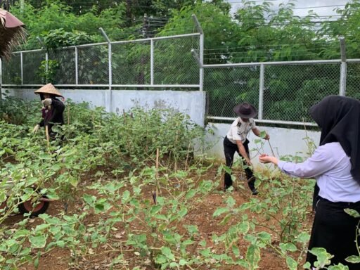 Pegawai dan Peserta Magang Rutan Kelas I Palembang Panen Terong dan Kangkung di Area Ketahanan Pangan