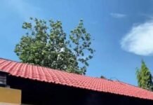 Samsat Blitar Kota Disorot, Dugaan Praktik Percaloan Dinilai Cederai Pelayanan Publik