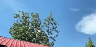 Samsat Blitar Kota Disorot, Dugaan Praktik Percaloan Dinilai Cederai Pelayanan Publik
