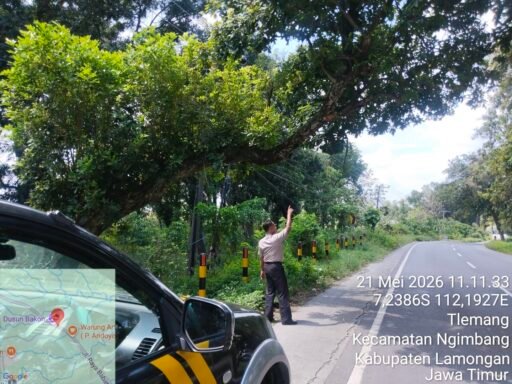Polsek Ngimbang Gelar Patroli Dan Pengecekan Antisipasi Pohon Tumbang di Daerah Rawan Bencana