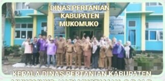 *DINAS PERTANIAN MUKOMUKO PERKETAT PENGAWASAN: PASTIKAN HEWAN QURBAN SEHAT, AMAN, DAN LAYAK KONSUMSI*