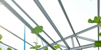 Panen Melon SAE, Rutan Kelas I Palembang Wujudkan Pembinaan Produktif dan Dukung Ketahanan Pangan
