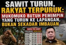 Rakyat Menjerit Harga Sawit Terjun Bebas, Perhatian Pemkab Dinilai Lebih Condong pada Seremoni