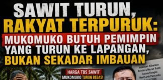 Rakyat Menjerit Harga Sawit Terjun Bebas, Perhatian Pemkab Dinilai Lebih Condong pada Seremoni