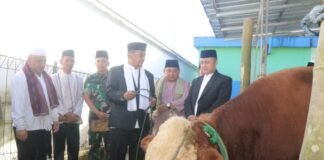 IDUL ADHA 1447 H, BUPATI TEGASKAN PENTINGNYA AKTUALISASI NILAI EMPATI, GOTONG ROYONG DAN KEPEDULIAN SOSIAL