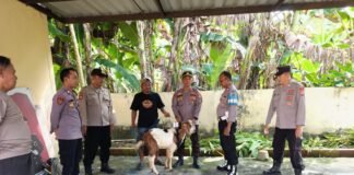 Polsek Ngimbang Giat Penyembelian Hewan Korban Dalam Rangka Idul Adha 1447 H DI Mapolsek Ngimbang