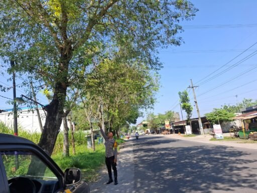 Polsek Ngimbang Gelar Patroli Dan Pengecekan Antisipasi Pohon Tumbang di Daerah Rawan Bencana