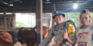 BHABIN SIDOMUKTI AKTIF MONITORING TERNAK, DUKUNG KETAHANAN PANGAN DAN KESEHATAN HEWAN KURBAN