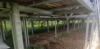 BUMDes ‘Curi Start’, Warga Kebon Cau Ngamuk: Kandang Ayam Dipindahkan Tanpa Permisi!