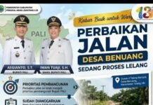 AKHIRNYA DIREALISASIKAN,,! Jalan Berlubang di Desa Benuang Segera Mulus, Pemkab PALI Kebut Proses Lelang
