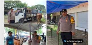 Bhabinkamtibmas Aipda Nanang Sumantri Pantau Ternak Sehat Jelang Idul Adha 1447 H