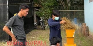 Dari Limbah Jadi Berkah: Petani PALI Sulap Jerami Jadi Wadah Organik, Pendapatan Melesat Dua Kali Lipat