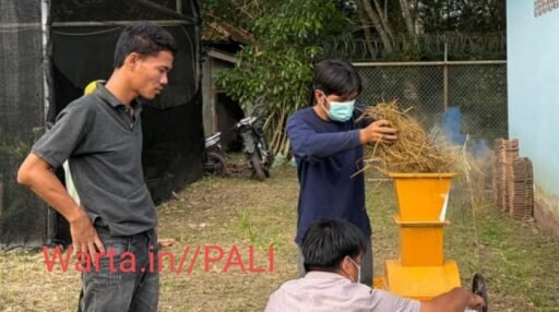 Dari Limbah Jadi Berkah: Petani PALI Sulap Jerami Jadi Wadah Organik, Pendapatan Melesat Dua Kali Lipat