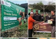 Aliansi Alam Bersatu Jaya Indonesia (ABJI) Gelar Berbagi Qurban satu Ekor Sapi di Dusun Nogo Sambeng Lamongan