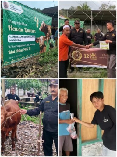 Aliansi Alam Bersatu Jaya Indonesia (ABJI) Gelar Berbagi Qurban satu Ekor Sapi di Dusun Nogo Sambeng Lamongan