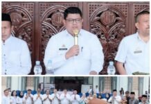 Momentum Perayaan Idul Adha 1447 H, Pemkab Toraja Utara Terima Sapi Qurban dari Presiden RI