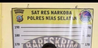 Sat Resnarkoba Polres Nias Selatan Kembali DiCiduk terduga Pengedar Narkoba Jenis Sabu Berinisial PD
