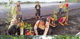 Green Policing, Polsek Rangsang bersama suku akit Tanam Mangrove Cegah Abrasi pantai.