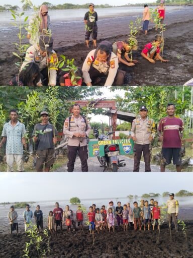 Green Policing, Polsek Rangsang bersama suku akit Tanam Mangrove Cegah Abrasi pantai. Green Policing, Polsek Rangsang bersama suku akit Tanam Mangrove Cegah Abrasi pantai.