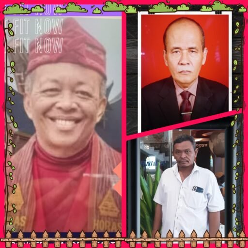 MENYOROTI KONTRIBUSI PERANTAU DI SAMOSIR : SINAR NIKOLAS NAIBAHO, DARWIN SITANGGANG, MARTUA SITANGGANG