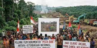 *”Pesta Babi”: Antara Keterbukaan Informasi, Pelindungan Data Pribadi, dan Konflik Agraria Papua*