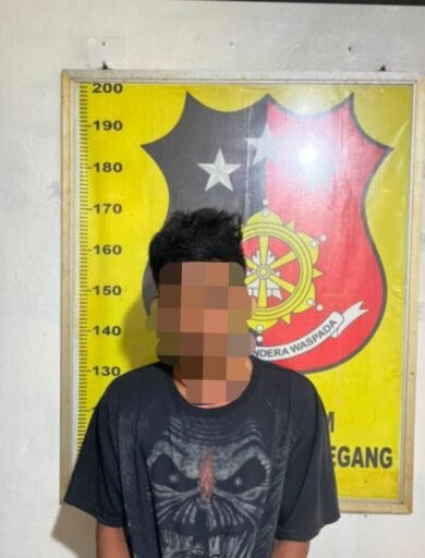 Curi 13 Tandan Sawit di Kebun PTPN IV, Pemuda 27 Tahun Diamankan Security