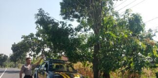 Polsek Ngimbang Gelar Patroli Dan Pengecekan Antisipasi Pohon Tumbang di Daerah Rawan Bencana di Wil Ngimbang