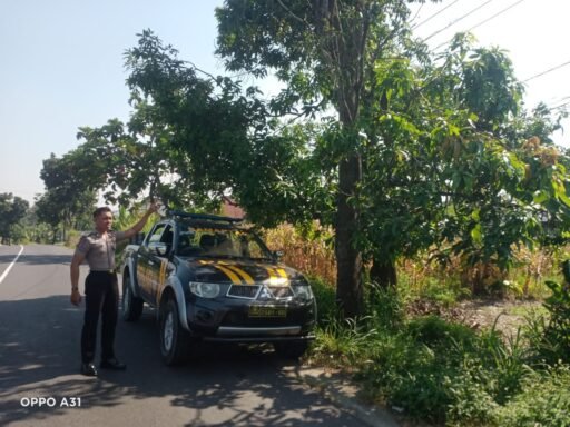 Polsek Ngimbang Gelar Patroli Dan Pengecekan Antisipasi Pohon Tumbang di Daerah Rawan Bencana di Wil Ngimbang Polsek Ngimbang Gelar Patroli Dan Pengecekan Antisipasi Pohon Tumbang di Daerah Rawan Bencana di Wil Ngimbang