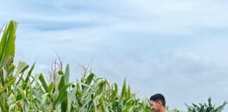 Polsek Babat Laksanakan Pengecekan Rutin Lahan Jagung Warga Desa Plaosan untuk Dukung Program P2B Nasional