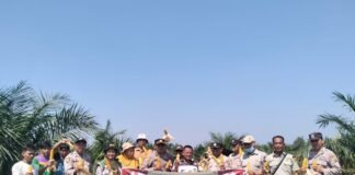 Panen Jagung Kuartal II 2026, Polsek Gunung Megang Dukung Ketahanan Pangan Nasional