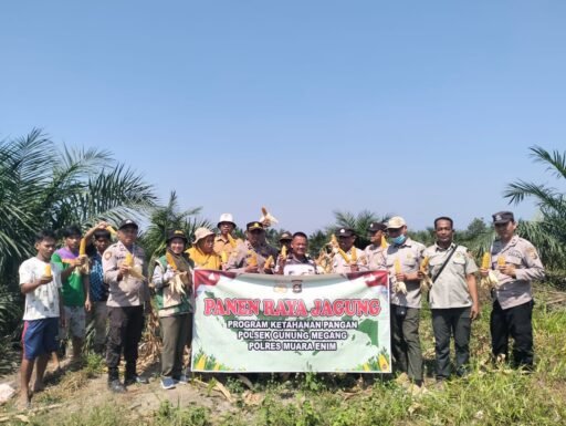 Panen Jagung Kuartal II 2026, Polsek Gunung Megang Dukung Ketahanan Pangan Nasional Panen Jagung Kuartal II 2026, Polsek Gunung Megang Dukung Ketahanan Pangan Nasional