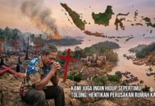 *Catatan Air Mata Ibu Pertiwi: Pesta Babi, Salib Merah, dan Ratapan Jiwa Hutan yang Terluka*