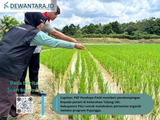 *Pujangga PEP Pendopo dan Petani Perempaun Talang Ubi Utara Dongrak Panen Lewat Pertanian Organik* *Pujangga PEP Pendopo dan Petani Perempaun Talang Ubi Utara Dongrak Panen Lewat Pertanian Organik*