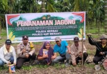 Swasembada Pangan, Bhabinkamtibmas Merbau Bersama Warga Tanam Jagung di Desa Bandul