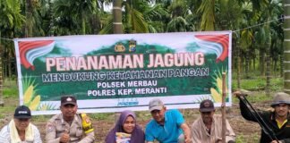 Swasembada Pangan, Bhabinkamtibmas Merbau Bersama Warga Tanam Jagung di Desa Bandul