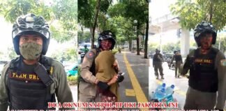 *Ketika Pamong Berubah Menjadi Algojo: Menyoal Mangkirnya Oknum Satpol PP Jakarta dari Panggilan Polisi*