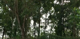Pendaftaran Beasiswa Hulu Migas SKK Migas–Pertamina Hulu Rokan Zona 4 di Poltek Akamigas sumsel Segera Dibuka