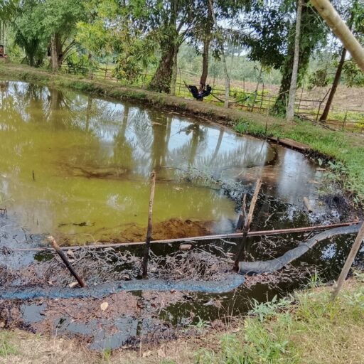 Warga Desa Jirak Adukan PT Pertamina pendopo ke DPRD Muba Desak RDP Dugaan Pencemaran lingkungan Warga Desa Jirak Adukan PT Pertamina pendopo ke DPRD Muba Desak RDP Dugaan Pencemaran lingkungan