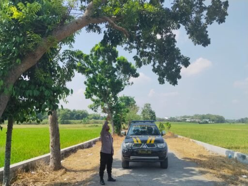 Polsek Ngimbang Gelar Patroli Dan Pengecekan Antisipasi Pohon Tumbang di Daerah Rawan Bencana Polsek Ngimbang Gelar Patroli Dan Pengecekan Antisipasi Pohon Tumbang di Daerah Rawan Bencana
